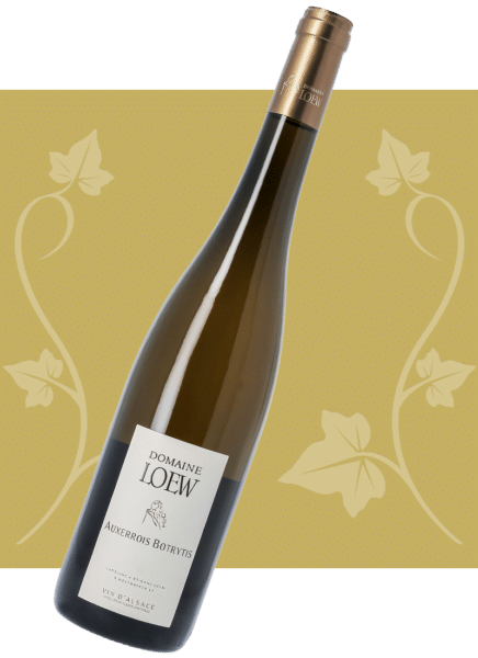 loew-2026-auxerrois-botrytis-01