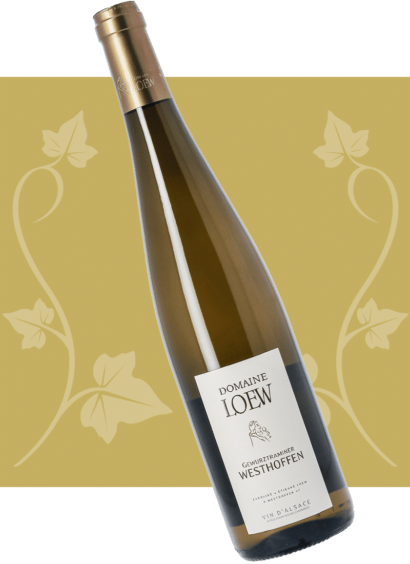 loew-2026-gewurztraminer-westhoffen-g-2