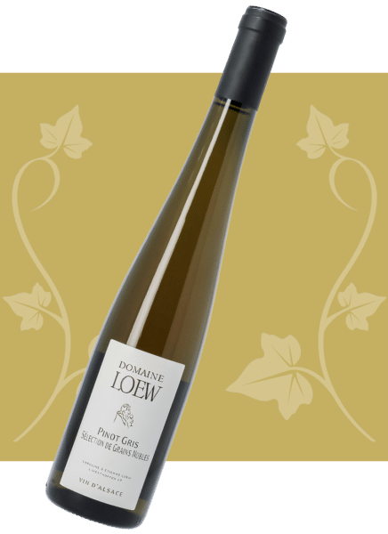 loew-2026-pinot-gris-selection-grain-noble-01