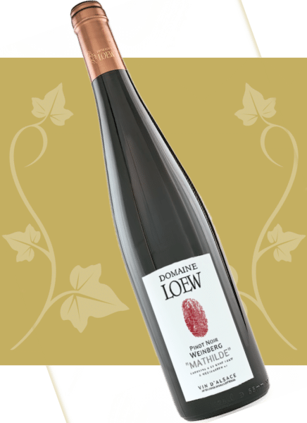 loew-2026-pinot-noir-weinberg-mathilde-01