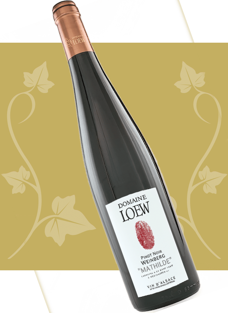 loew-2026-pinot-noir-weinberg-mathilde-01