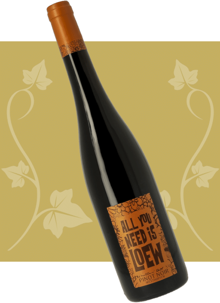 loew-2026-pinot-noir-westhoffen-01