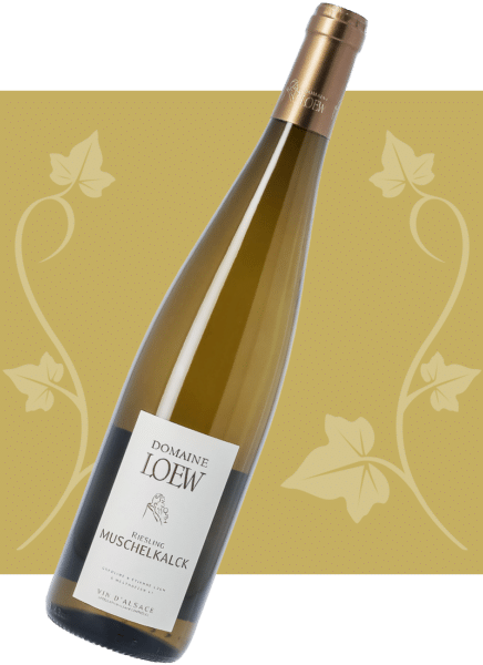 loew-2026-riesling-muschelkack-01