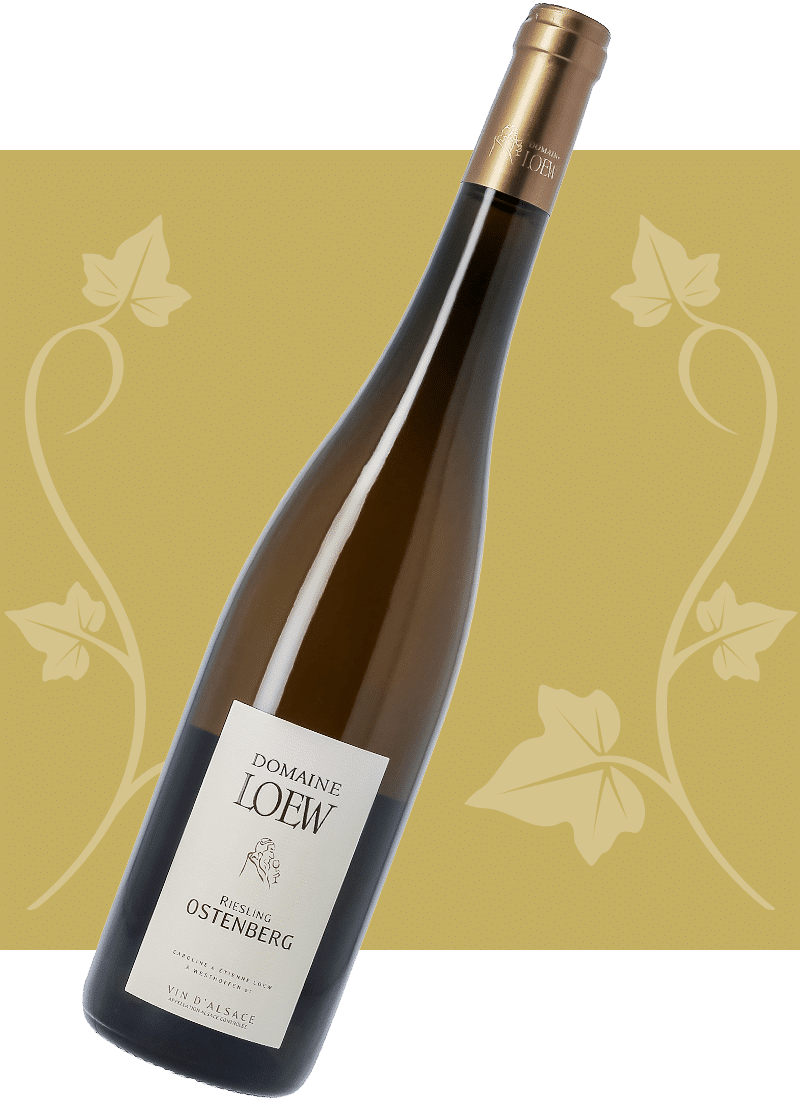 loew-2026-riesling-ostenberg-01