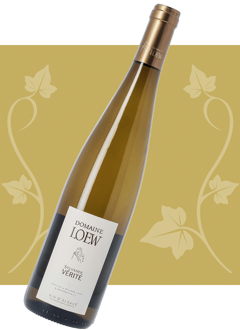loew-2026-sylvaner-verite-01