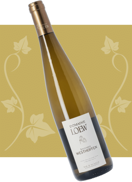 loew-2026-sylvaner-westhoffen-01