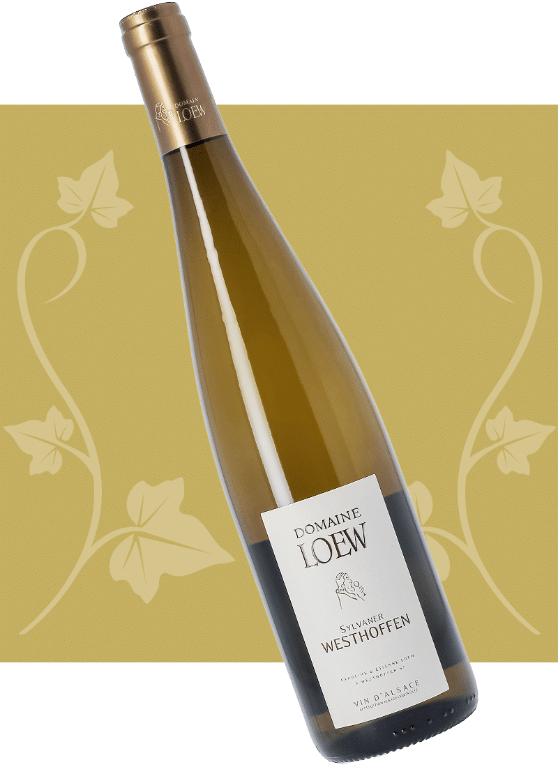 loew-2026-sylvaner-westhoffen-01