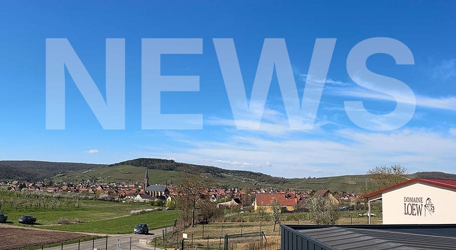 domaine-loew-news-ete-2026